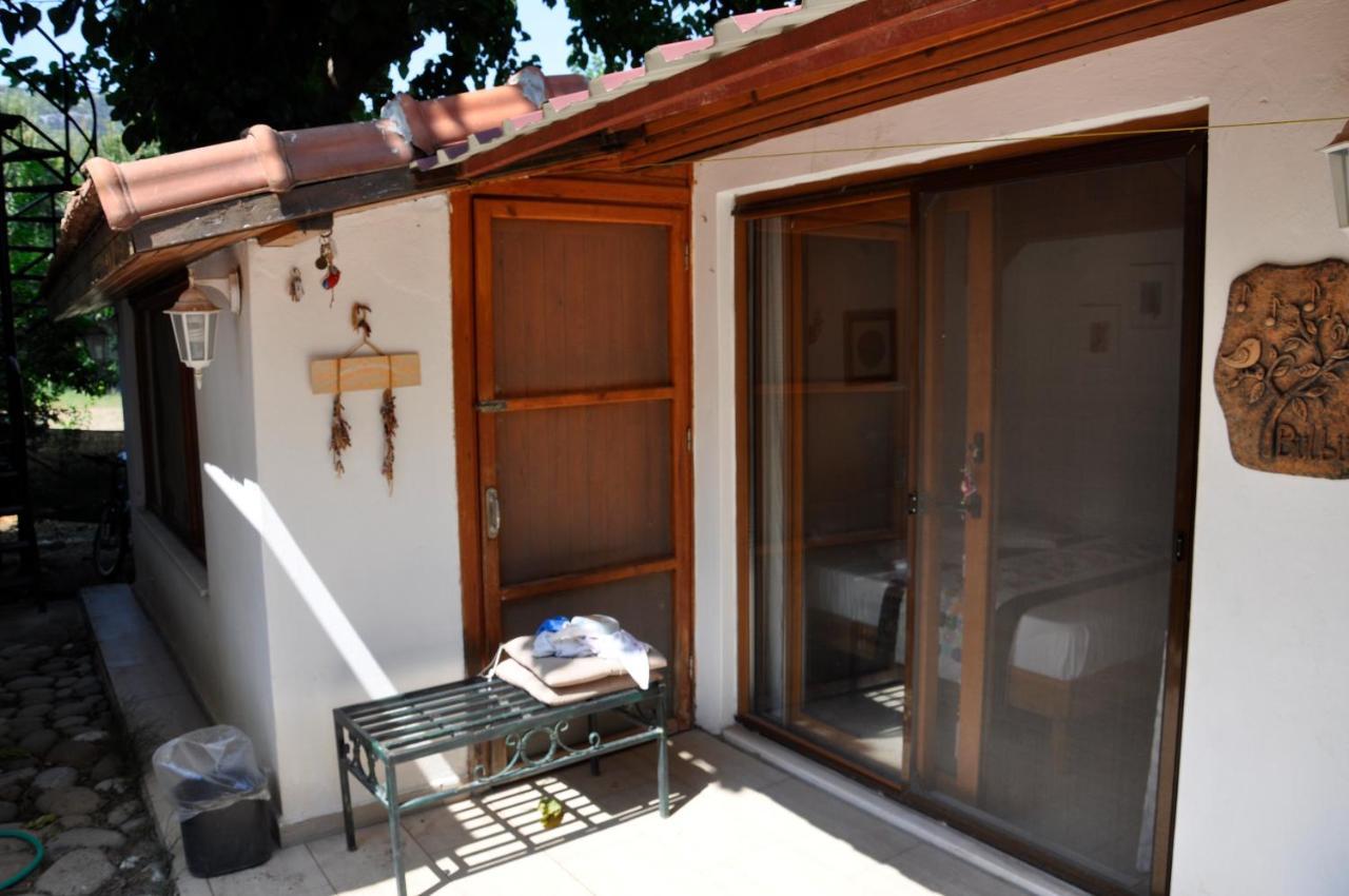 Cirali Kus Yuvasi Bed & Breakfast エクステリア 写真