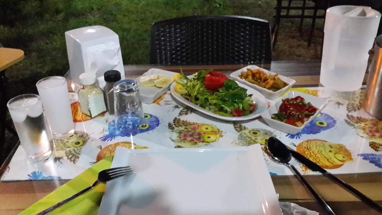 Cirali Kus Yuvasi Bed & Breakfast エクステリア 写真