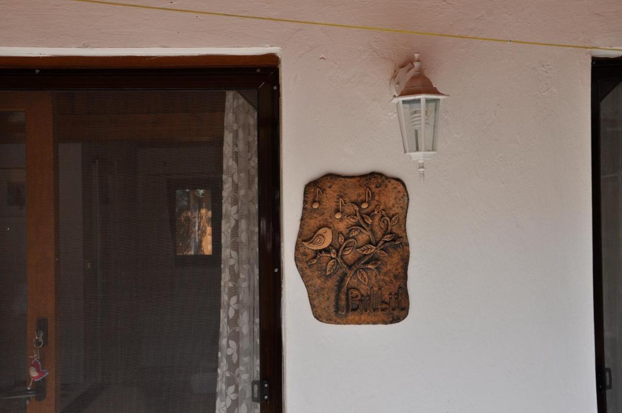 Cirali Kus Yuvasi Bed & Breakfast エクステリア 写真
