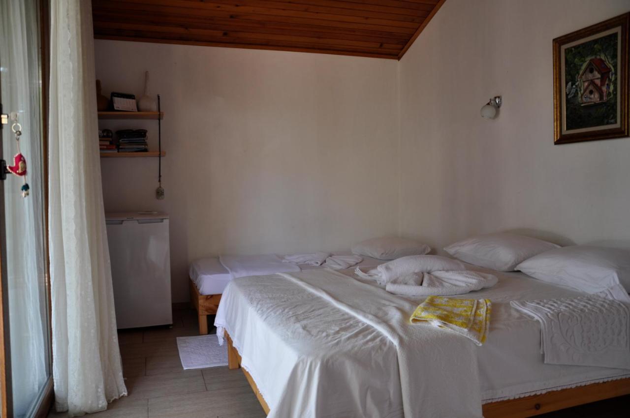 Cirali Kus Yuvasi Bed & Breakfast エクステリア 写真