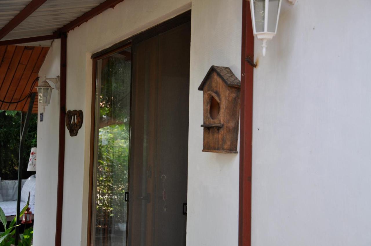 Cirali Kus Yuvasi Bed & Breakfast エクステリア 写真
