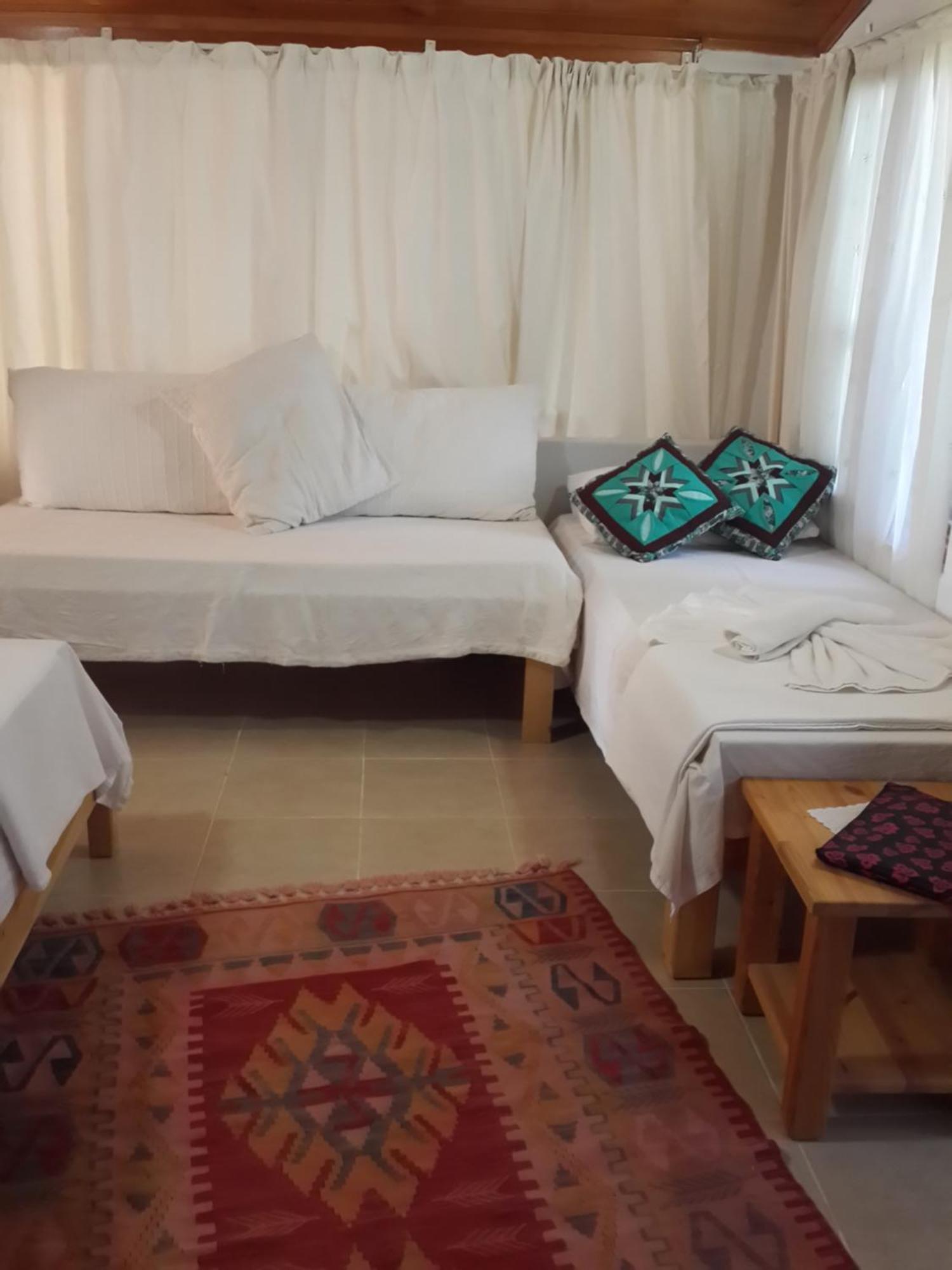 Cirali Kus Yuvasi Bed & Breakfast 部屋 写真